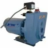 Best reviews of ⌛ Flint & Walling 1 hp Jet Pump with Convertible Ejector 😉 -Flint & Walling Store Query 119